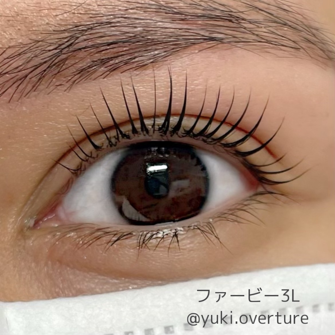 29507204.2b6d3458bccef31354f84159b6b03911.21090615